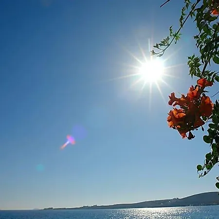 Petalides Hotel 3*